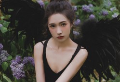 自主建站技术的全面解析与应用指南