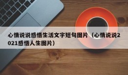 心情说说感悟生活文字短句图片（心情说说2021感悟人生图片）