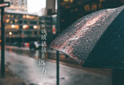 定西市建站技术解析与应用