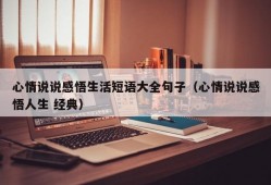 心情说说感悟生活短语大全句子（心情说说感悟人生 经典）