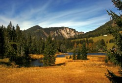 建站模板技术详解与应用指南