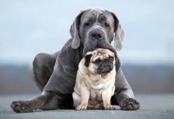 凡科建站技术联系电话