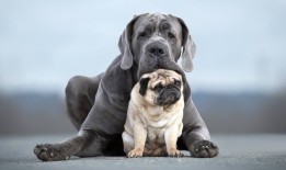 网络日志的存储现状与分析