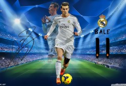 建站技术的实用指南