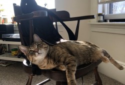 Java实现网络日志记录与管理