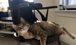 网站建站技术要点与规范