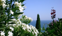 西宁网站营销与推广招商方案解析