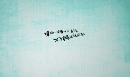 网站SEO优化哪家更实惠