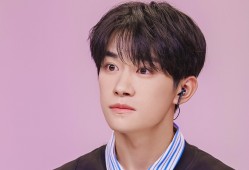 自建站技术开发全解析