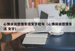 心情说说感悟生活文字短句（心情说说感悟生活 文字）