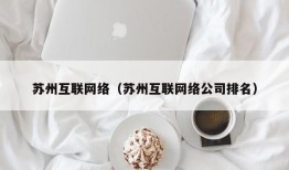 苏州互联网络（苏州互联网络公司排名）