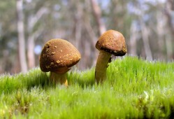 朔城区SEO建站技术解析与优化指南