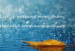 光美移动互联新视界