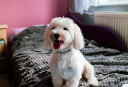 武乡建站技术的创新与应用