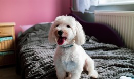 散心时的感悟：在生活里寻找内心的宁静