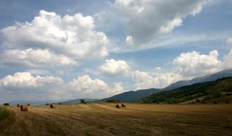 成都SEO优化网站提升排名技巧与方法