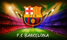 晋州网站SEO优化技巧与实战指南