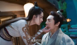 中央网络发展与安全报告