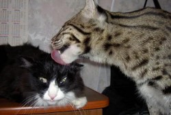 息县专业营销网站推广公司地址指南