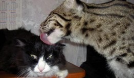 息县专业营销网站推广公司地址指南