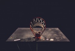 中国互联网络发展状况第43次统计报告