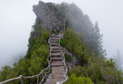 重庆市互联网发展现状与趋势分析