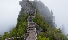 重庆市互联网发展现状与趋势分析