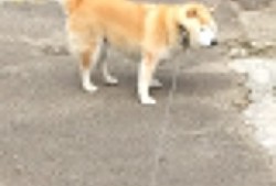 西安优质建站服务的收费标准解析