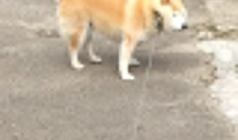 谷歌SEO建站优化全攻略