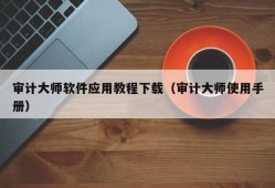 审计大师软件应用教程下载（审计大师使用手册）