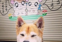 百度搜索引擎优化建站全攻略