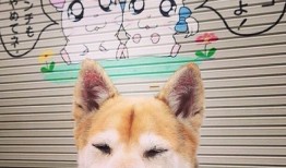 初秋时节，感悟生活的点滴心情