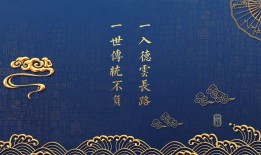 网站优化与SEO的核心差异及相互关系解析