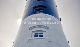 成都新闻营销与SEO优化效果分析