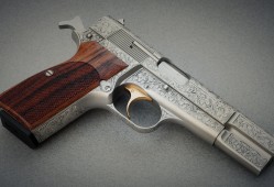 凤冈互联网络有限公司：引领数字时代的创新力量