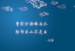 建站技术有哪些及选择指南