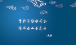 建站技术有哪些及选择指南