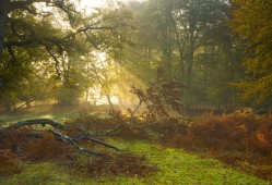 罗定地区SEO优化软件推荐与使用指南