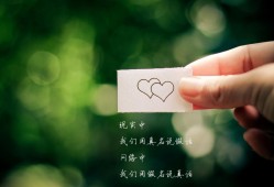 河南专业网站SEO优化服务提供商