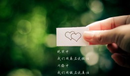 星盛互联网络科技有限公司简介