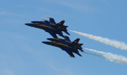 泽普建站技术：高效搭建网站的创新解决方案