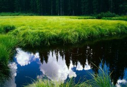 锐之旗建站技术支持服务