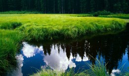 武汉网站SEO优化全攻略：提升搜索引擎排名的关键技巧