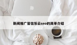 新闻推广皆信乐云seo的简单介绍