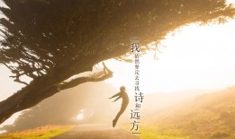 互联网络信息中心联系电话