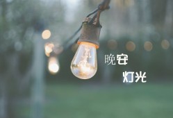 自建站域名选择全攻略