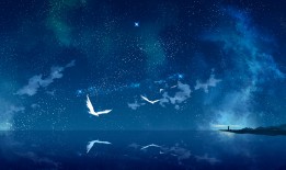 广东弘升互联网络有限公司简介