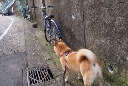 通化网站推广与营销策略全解析