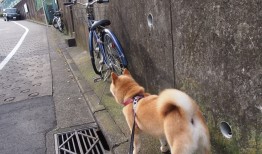 营销型网站如何有效进行品牌推广