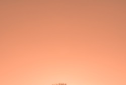 互联网络的核心设备是什么？